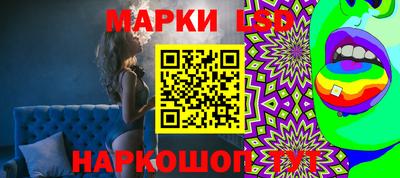 индика Обнинск
