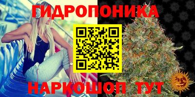 индика Обнинск