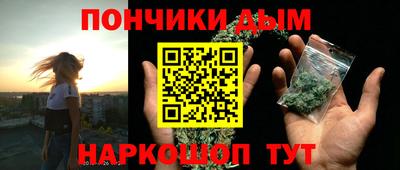 индика Обнинск