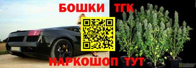 индика Обнинск