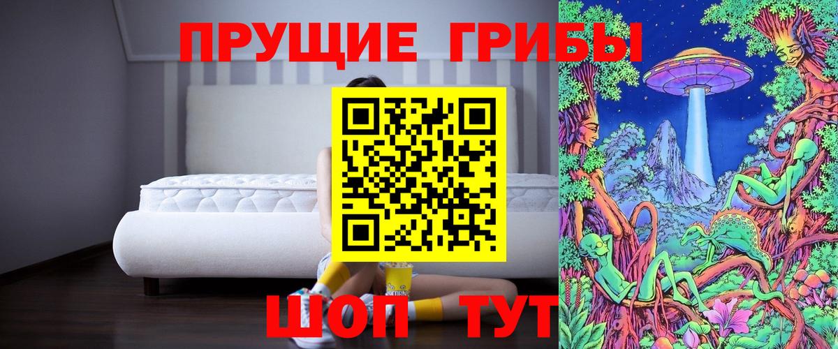 Фрязино  Галлюциногенные грибы прущие грибы  Галлюциногенные грибы прущие грибы  Вход с VPN 